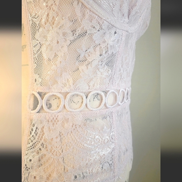 Victoria's Secret Longline Pink Sparkle Bustier Corset Lace Mesh - Picture 9 of 15